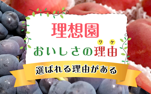 理想園おいしさの理由～選ばれる理由がある～