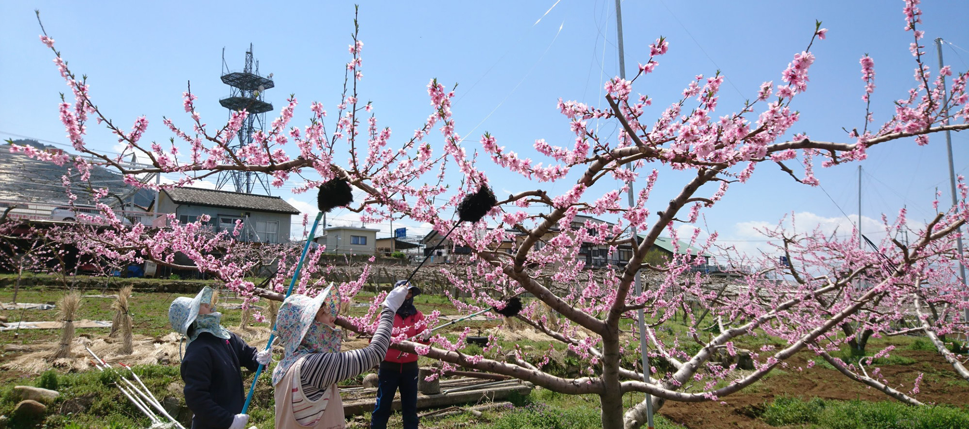 4月の作業風景