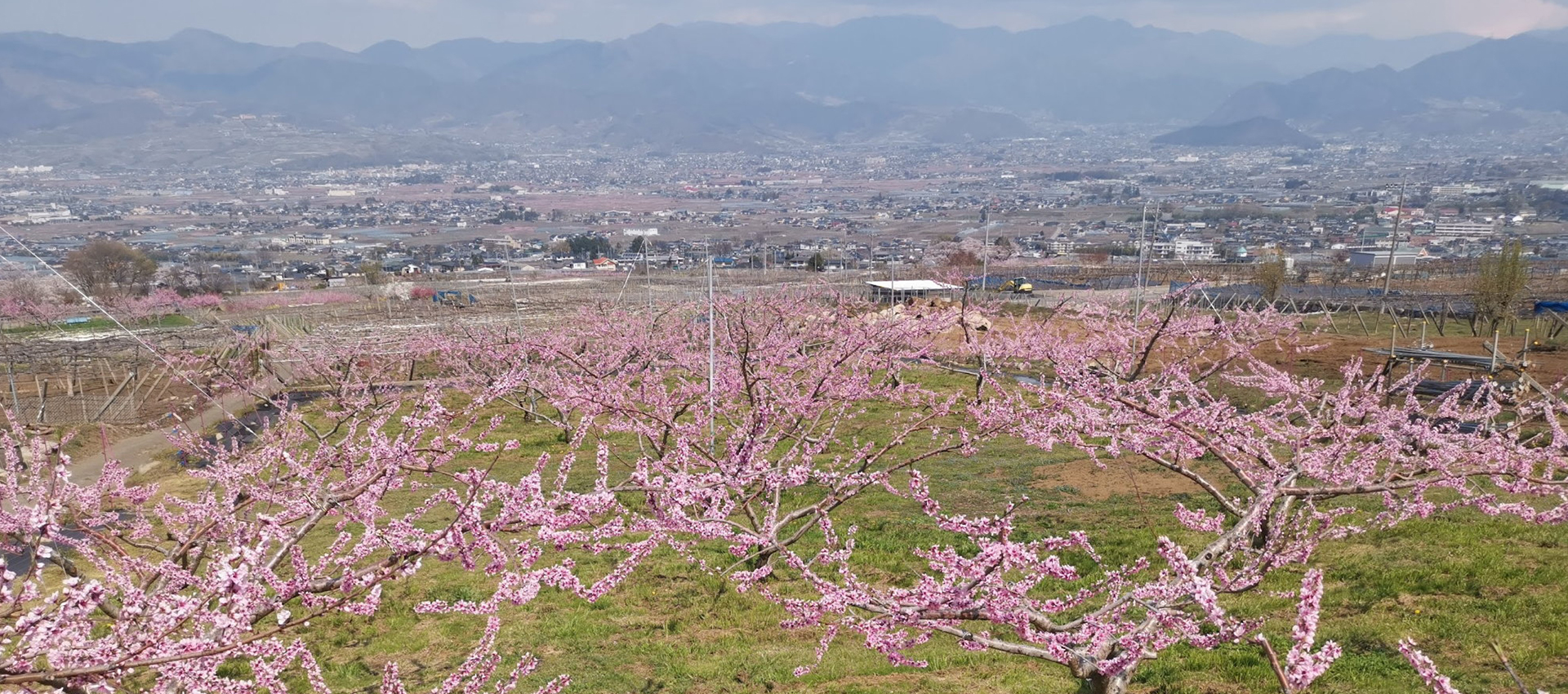 4月の作業風景