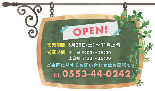 理想園の農園情報