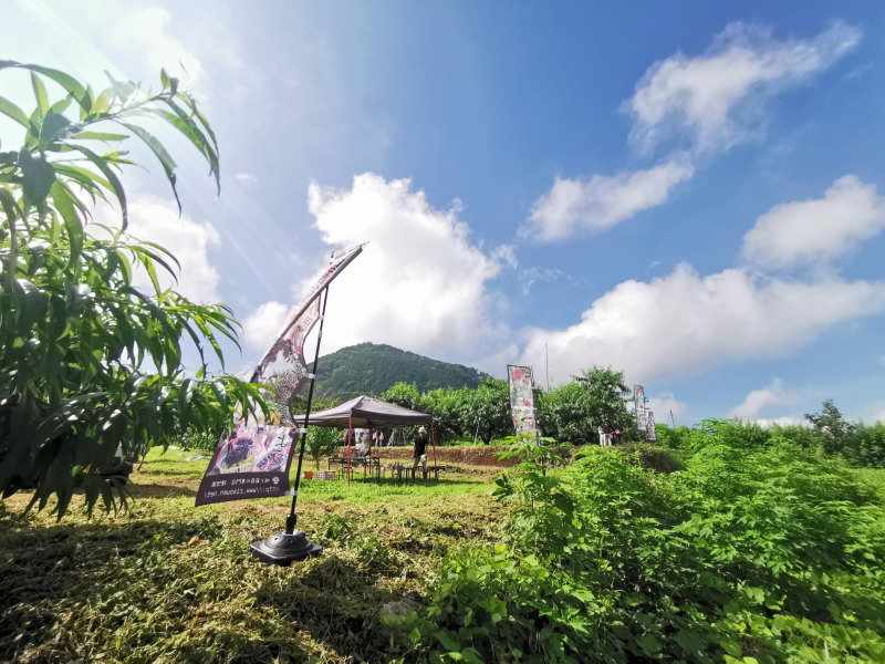 一宮町物見塚会場