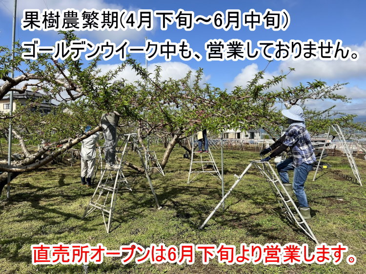 お知らせ イベント情報一覧 山梨 勝沼 理想園 山梨県で桃狩り ぶどう狩り ジェラート