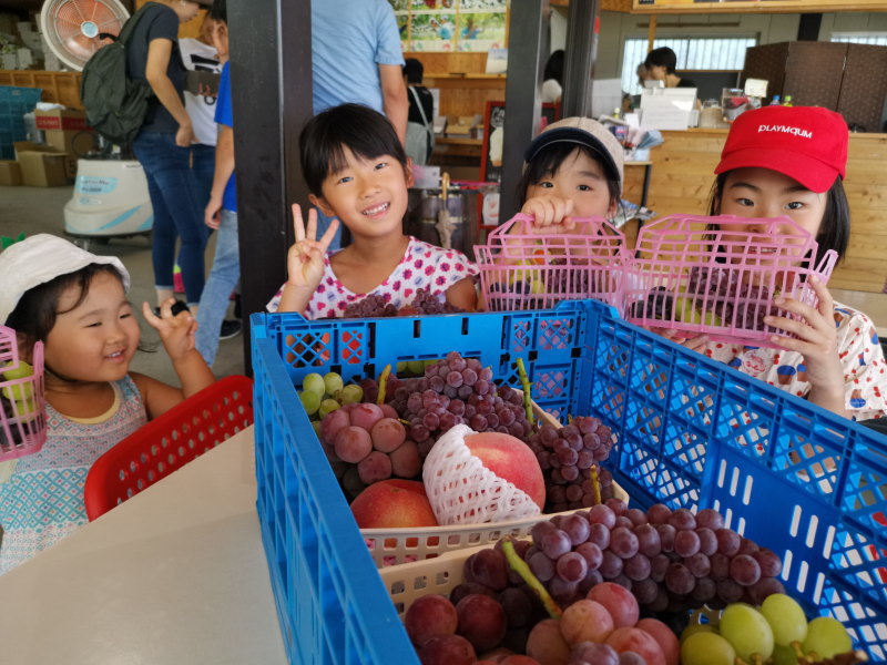 理想園　高級ぶどう食べ放題プレート