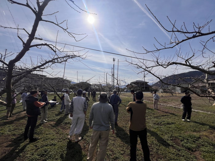 桃部園芸会＿視察の様子